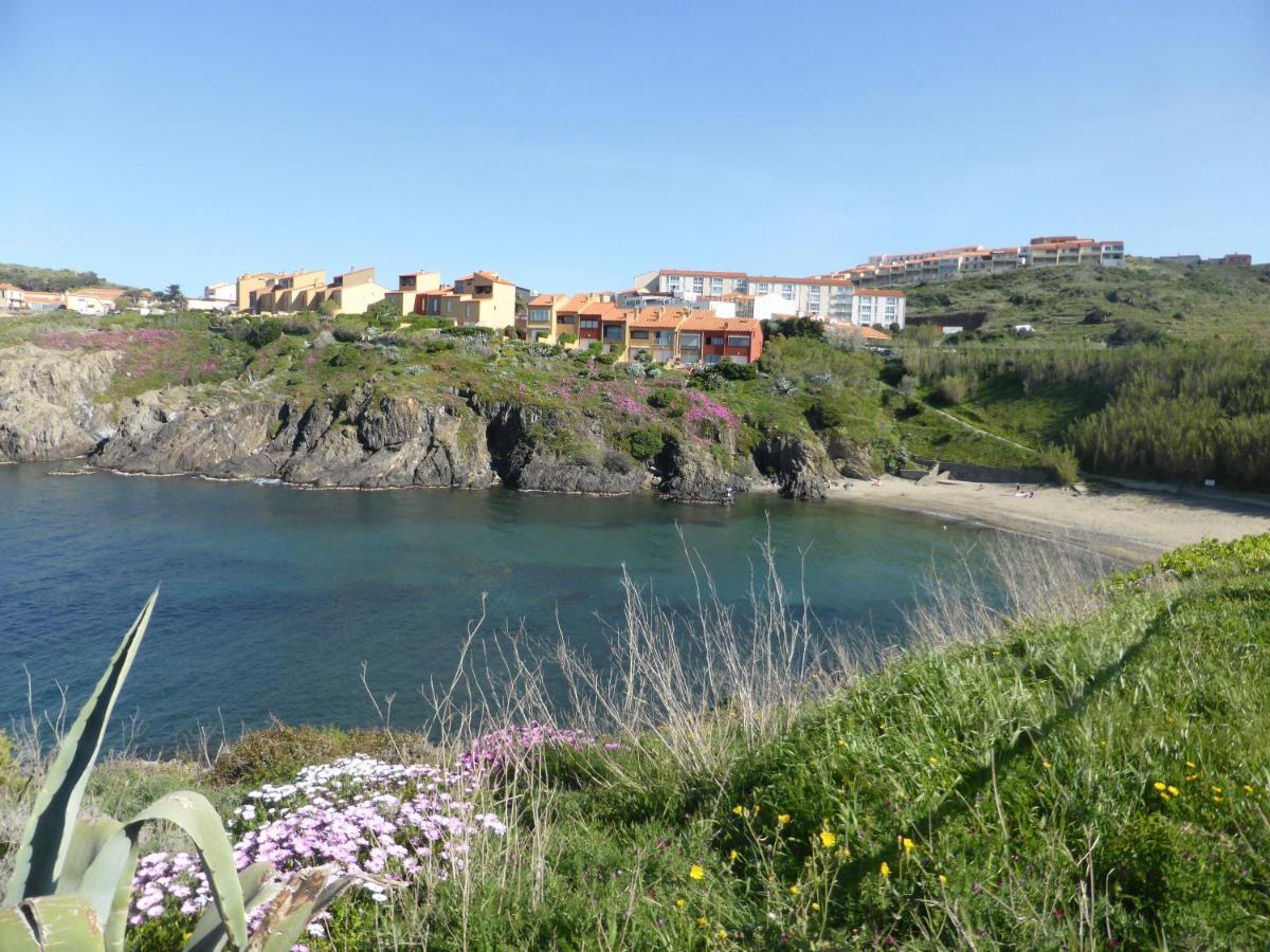 2Rb38A Appartement Vue Sur Mer Et Proche Plage コリウール エクステリア 写真